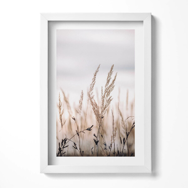 Obraz s rámem elegantní Přírodní tráva boho styl