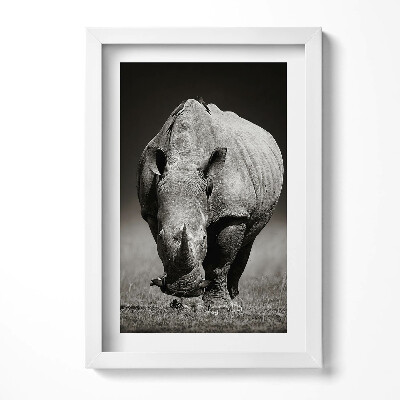 Obraz s rámem elegantní Černý a bílý nosorožec