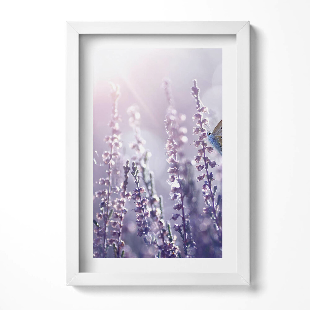 Obraz s rámem elegantní Motýl na divokých květinách