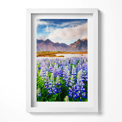 Obraz s rámem elegantní Kouzelné květy lupiny