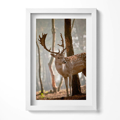 Obraz s rámem elegantní Jelen v záři vycházejícího slunce