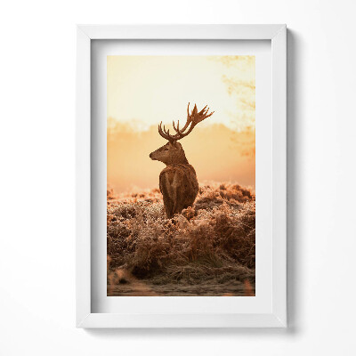 Obraz s rámem elegantní Jelen při východu slunce