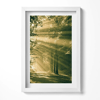 Obraz s rámem elegantní Sluneční paprsky v lese