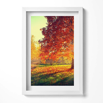 Obraz s rámem elegantní Podzimní park