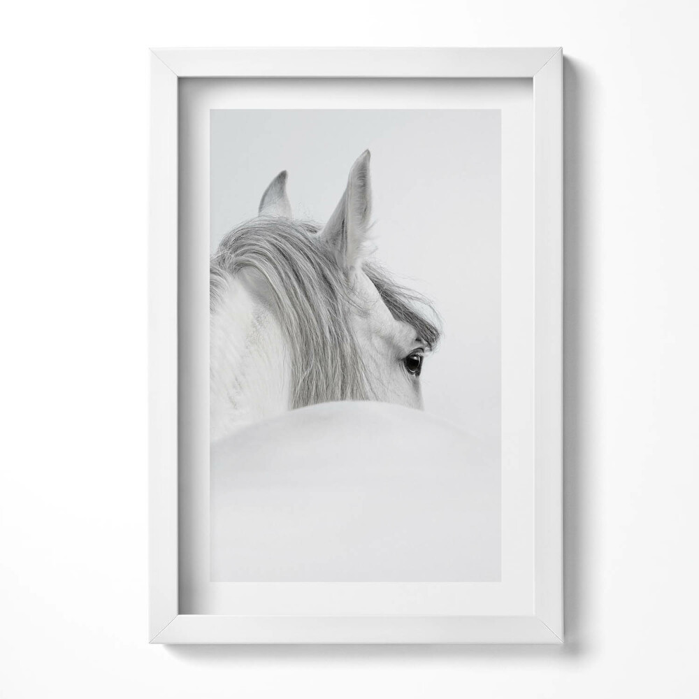 Obraz s rámem elegantní Andaluský kůň v mlze