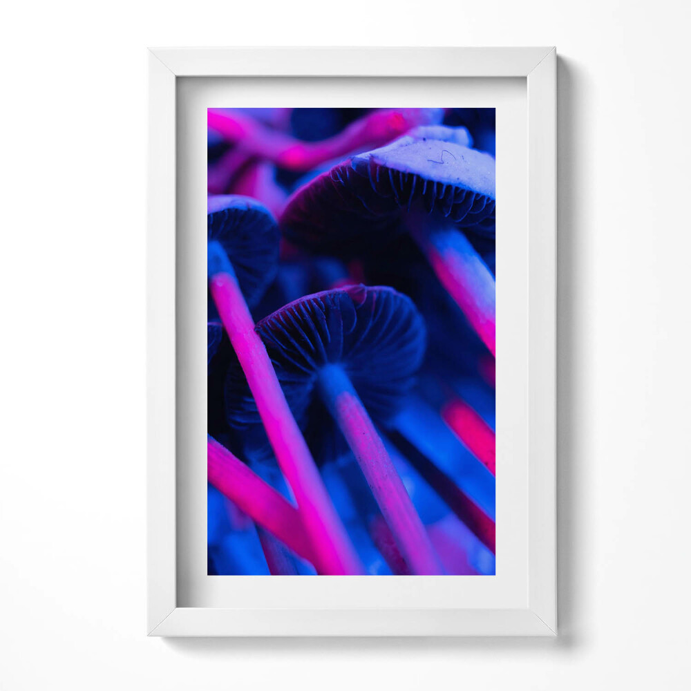 Obraz s rámem elegantní Kouzelné barevné houby