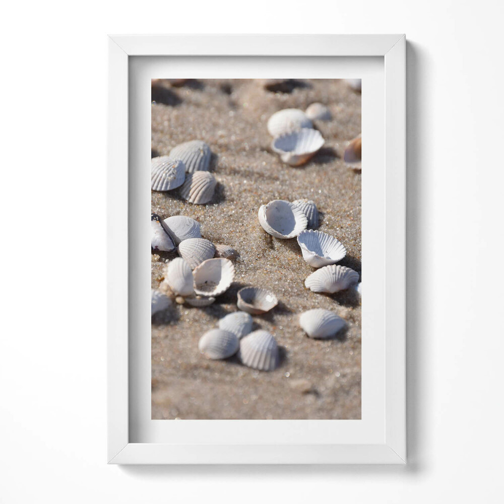 Obraz s rámem elegantní Mušle na pláži