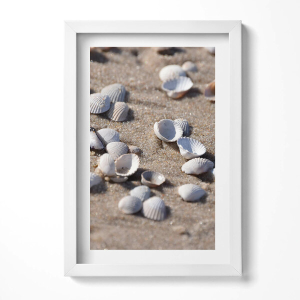 Obraz s rámem elegantní Mušle na pláži