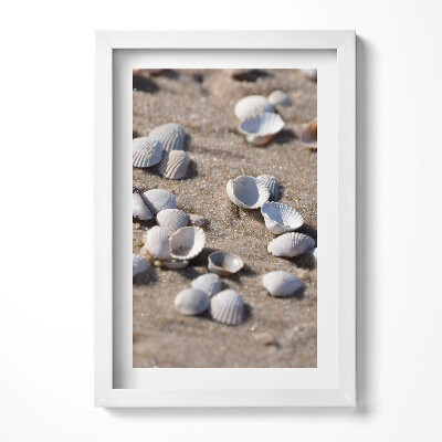 Obraz s rámem elegantní Mušle na pláži
