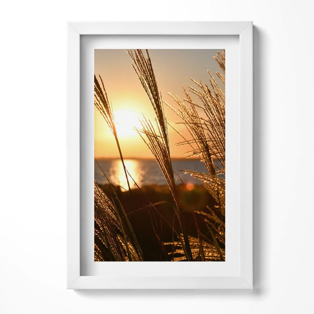 Obraz s rámem elegantní Pšenice ve Zlaté hodině