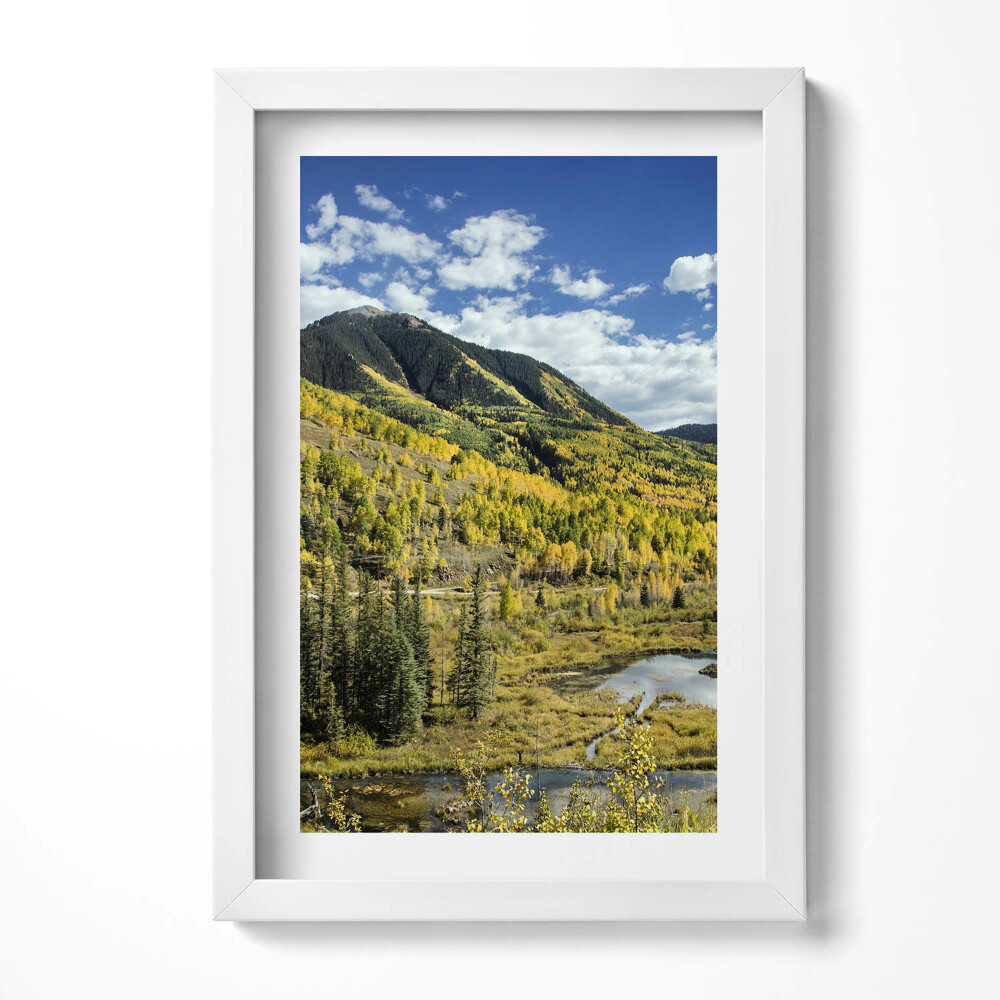 Obraz s rámem elegantní Krajina horské vegetace