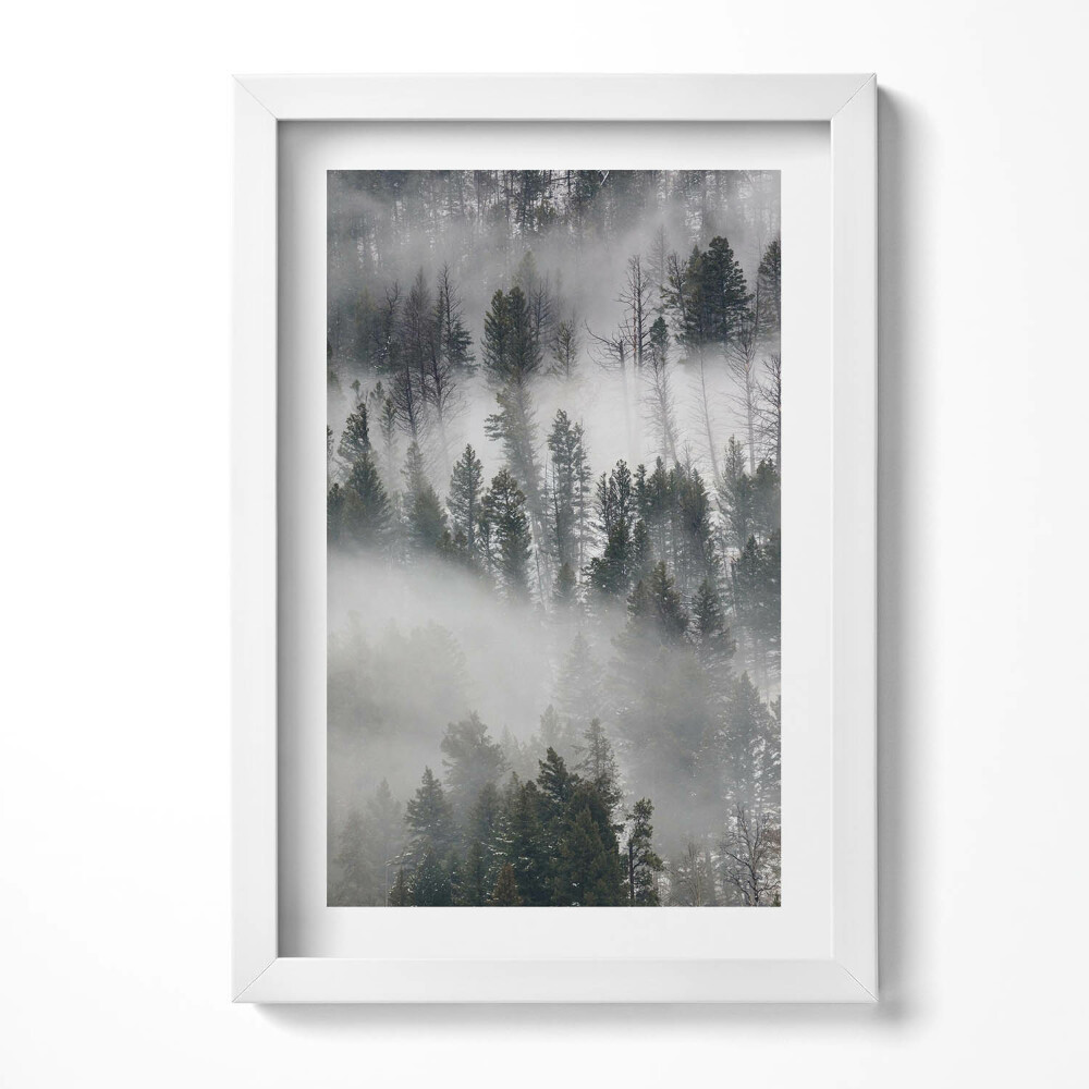 Obraz s rámem elegantní Zamlžená lesní krajina