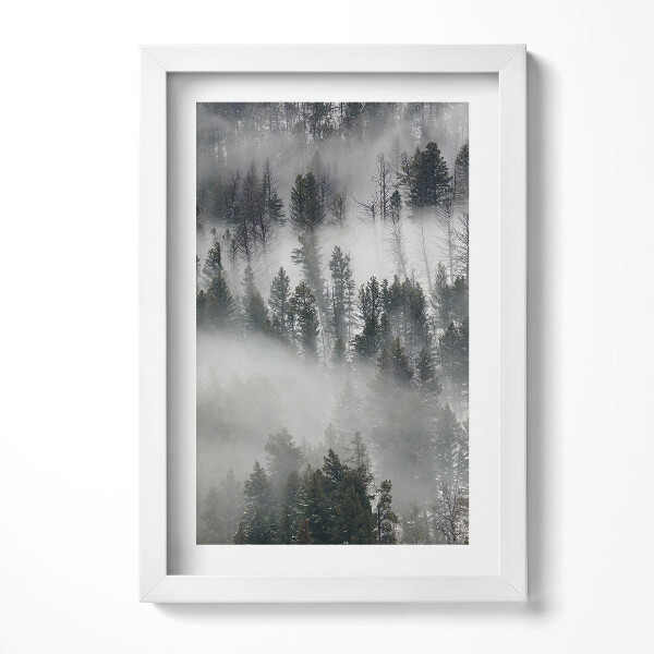 Obraz s rámem elegantní Zamlžená lesní krajina