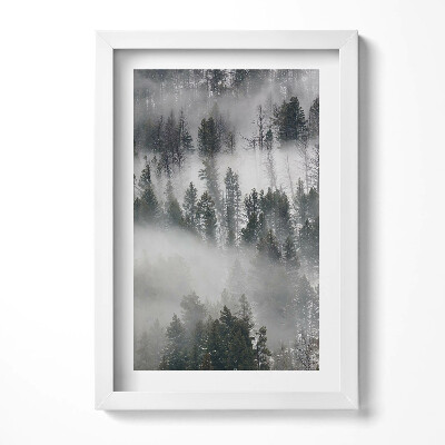 Obraz s rámem elegantní Zamlžená lesní krajina