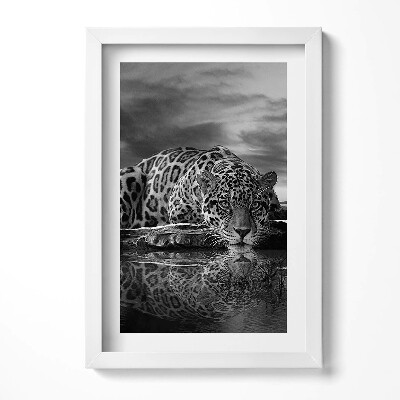 Obraz s rámem elegantní Černá a bílá leopard divoké zvíře
