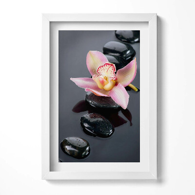 Obraz s rámem elegantní Květina na kamenech ve vodě