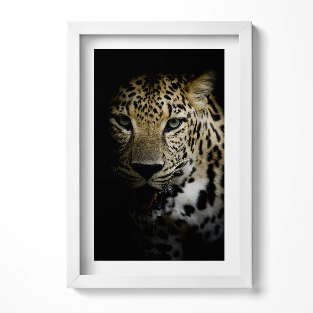 Obraz s rámem elegantní Divoká tygří kočka v černé barvě