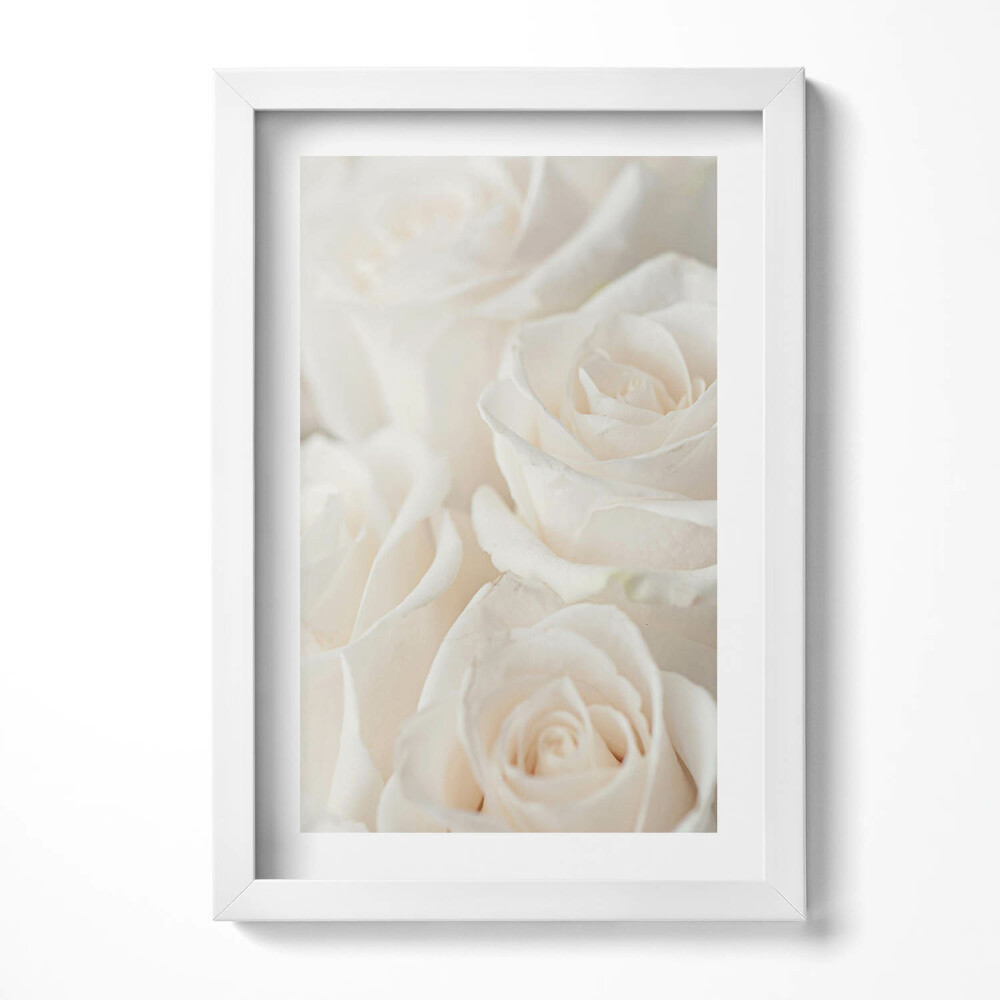 Obraz s rámem elegantní Bílé jemné různé