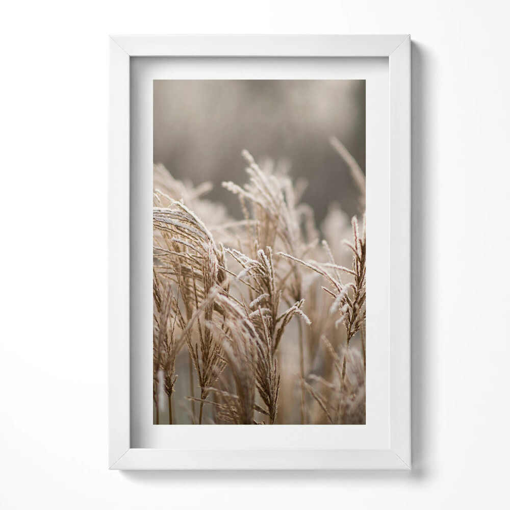 Obraz s rámem elegantní Boho jemné trávy