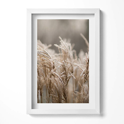 Obraz s rámem elegantní Boho jemné trávy