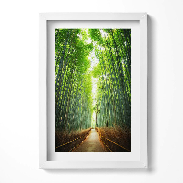Obraz s rámem elegantní Bambusový les Arashiyama Kjóto Japonsko