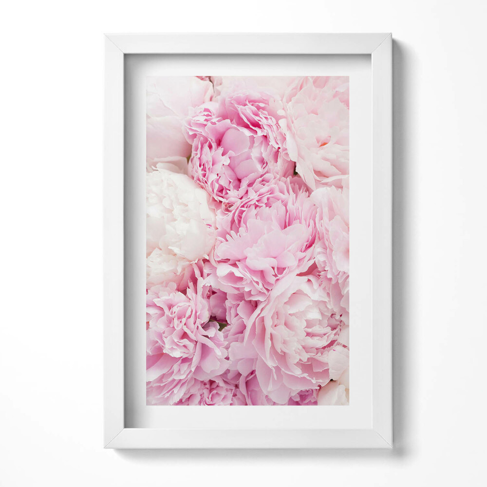Obraz s rámem elegantní Jemné květy pivoňky