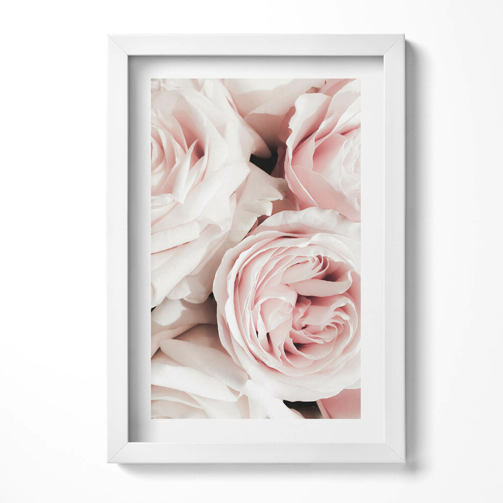 Obraz s rámem elegantní Světle růžové květy, jemné růže