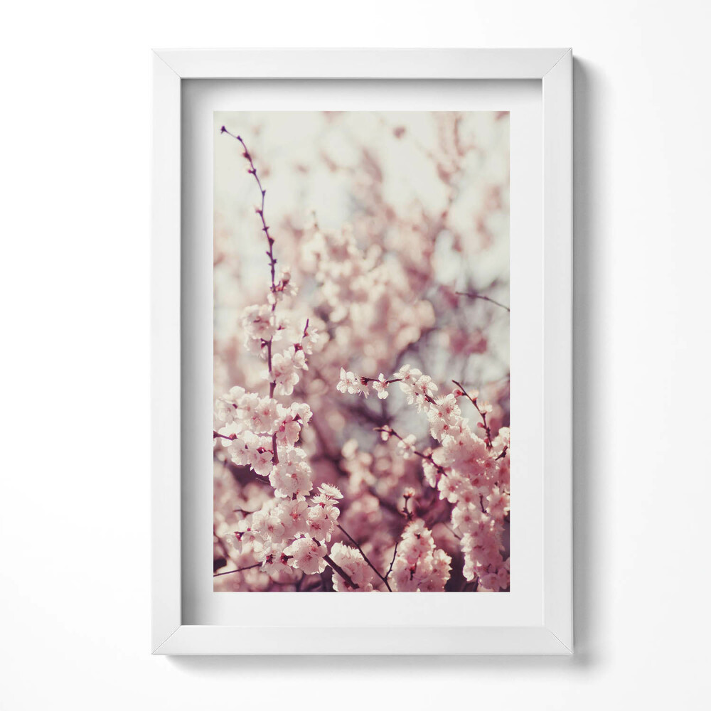 Obraz s rámem elegantní Krásné jarní květiny na stromě