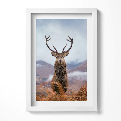 Obraz s rámem elegantní Jelen na horské mýtině