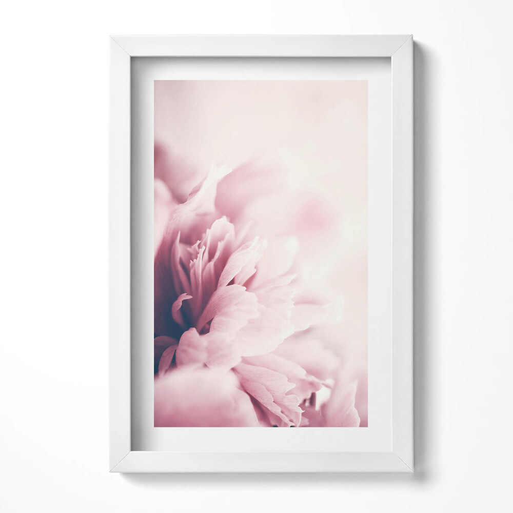 Obraz s rámem elegantní Detailní záběr na okvětní lístky pivoňky
