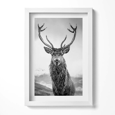 Obraz s rámem elegantní Černá a bílá jelen zvíře
