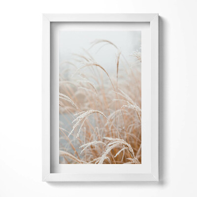 Obraz s rámem elegantní Jemné trávy v boho stylu