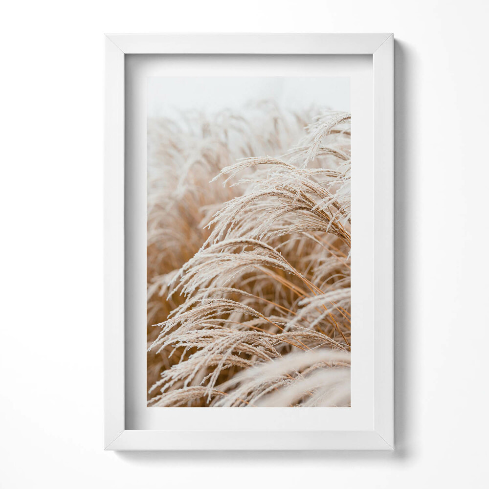 Obraz s rámem elegantní Jemné trávy v boho stylu