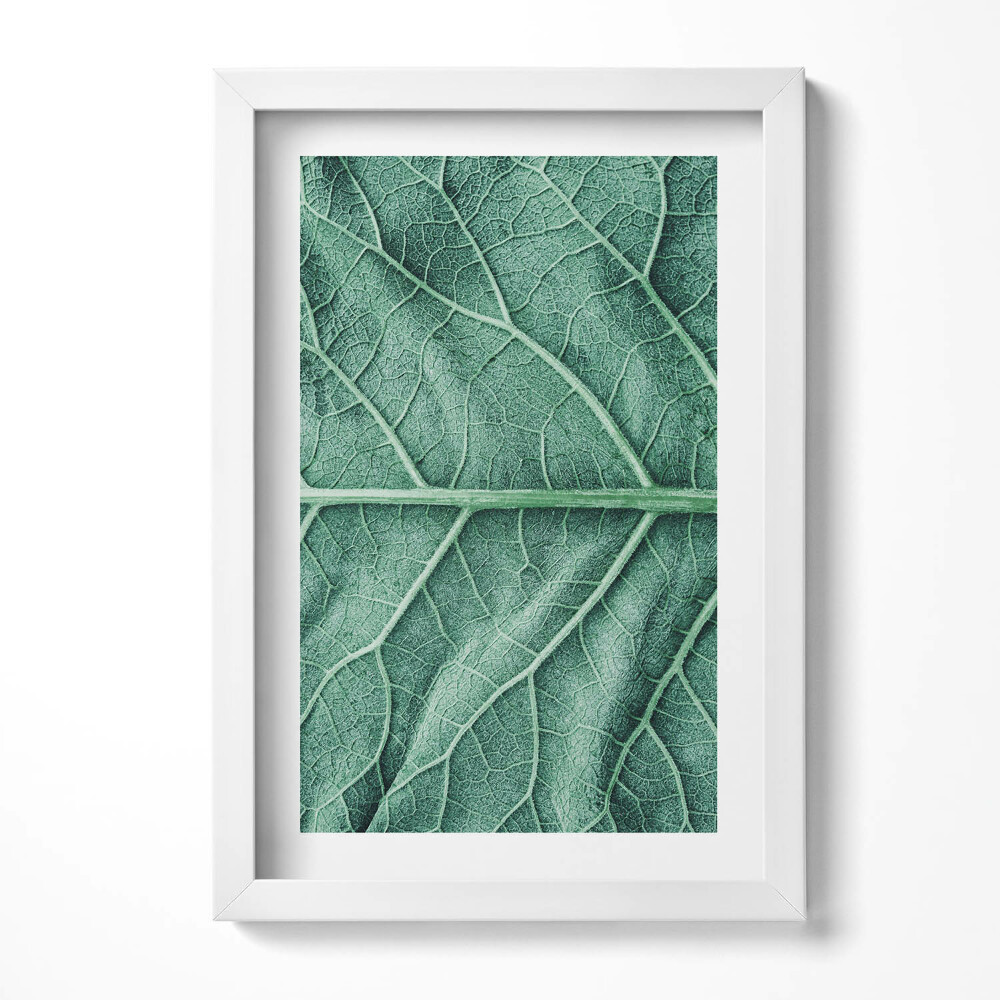 Obraz s rámem elegantní Detail listových žil