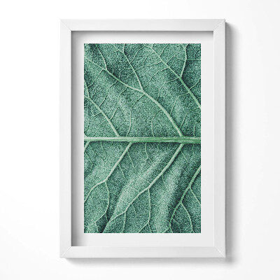 Obraz s rámem elegantní Detail listových žil