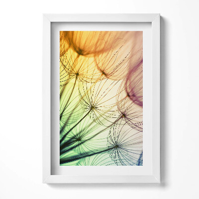 Obraz s rámem elegantní Jemný pyl pampelišky
