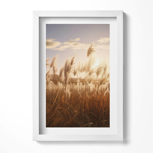 Obraz s rámem elegantní Romantický západ slunce nad trávou
