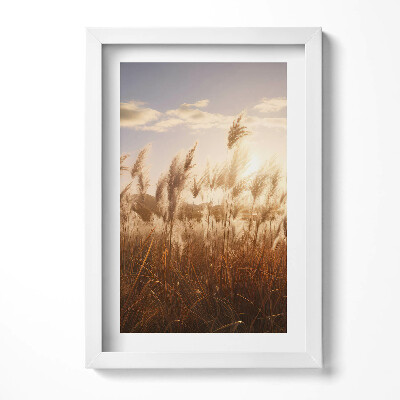 Obraz s rámem elegantní Romantický západ slunce nad trávou