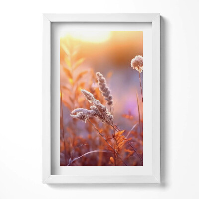 Obraz s rámem elegantní Boho tráva při východu slunce