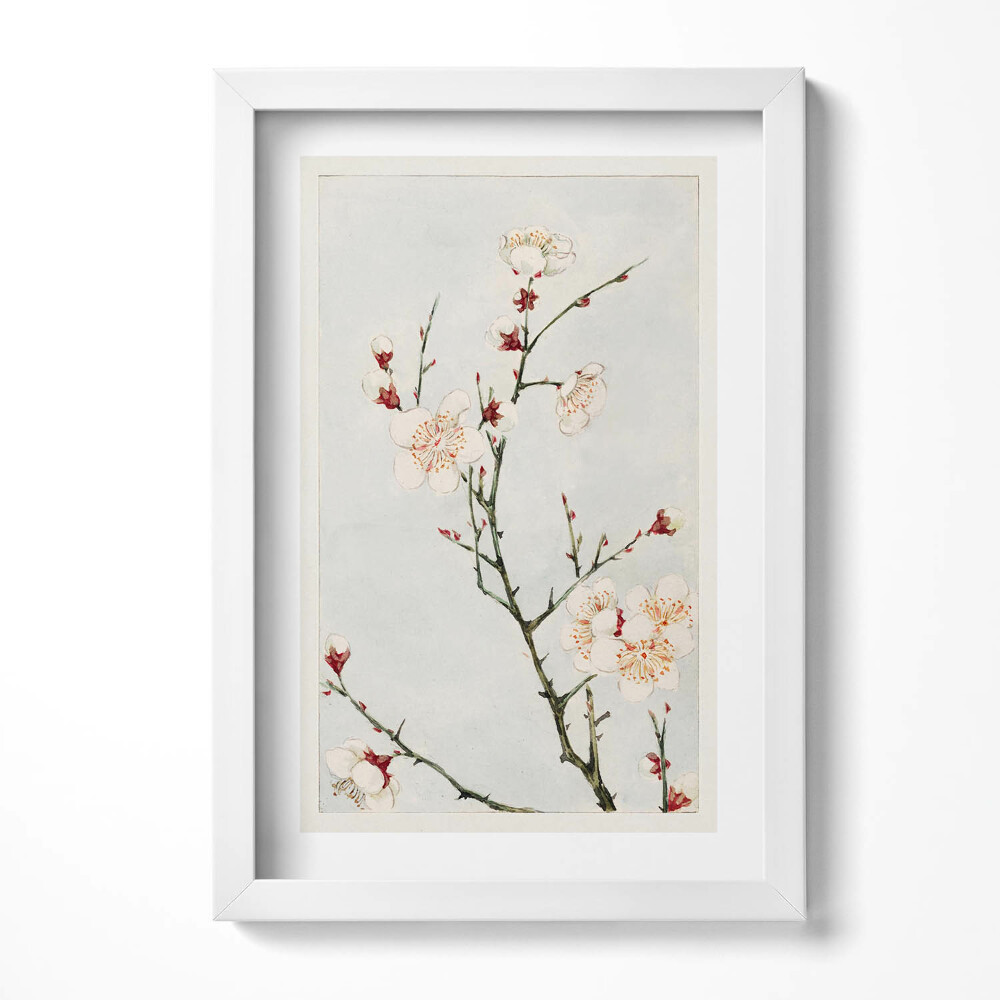 Obraz s rámem elegantní Minimalistické ilustrace větví s květinami