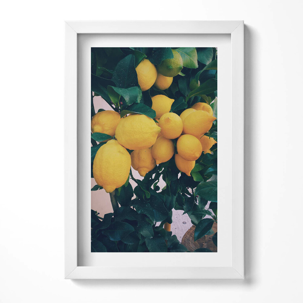 Obraz s rámem elegantní Zralé žluté citrony