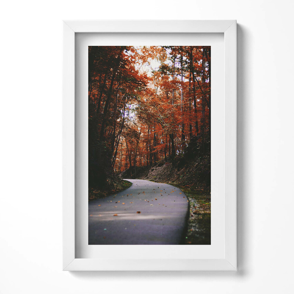 Obraz s rámem elegantní Prázdná cesta v podzimním lese