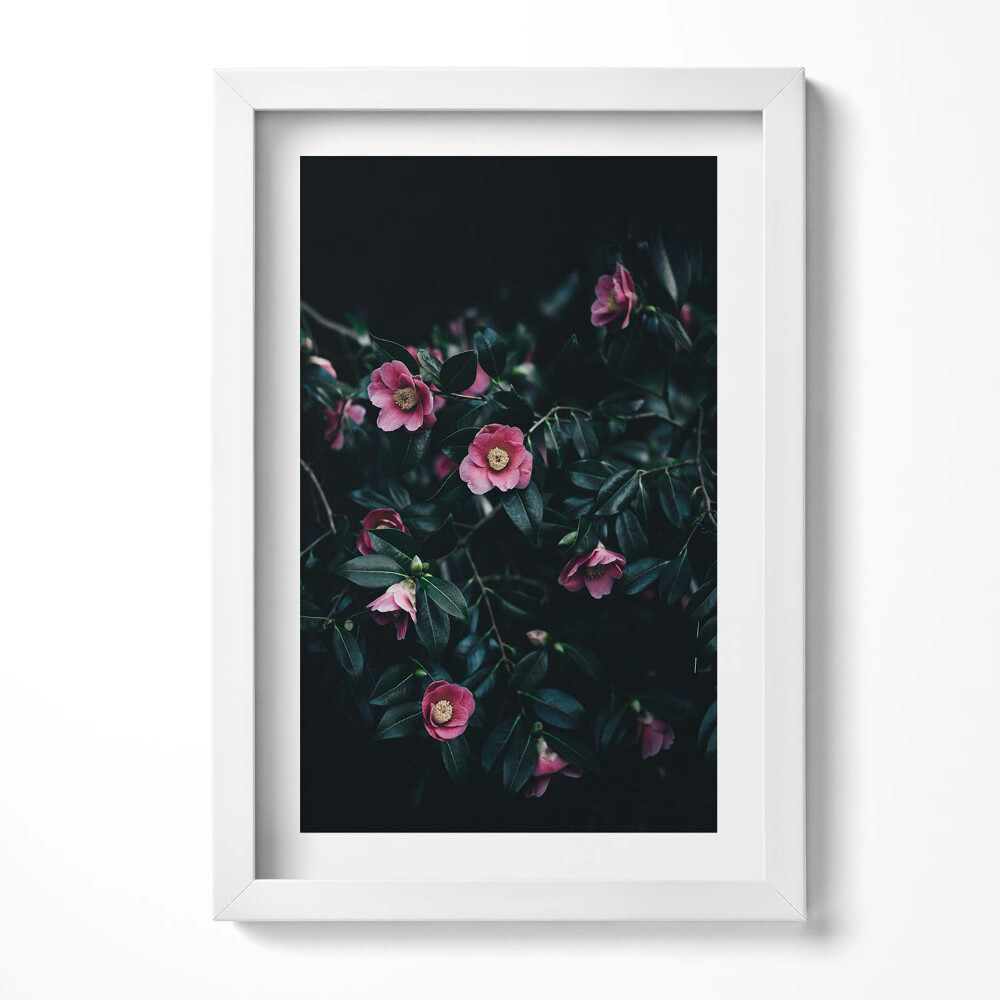 Obraz s rámem elegantní Vintage růžové květy