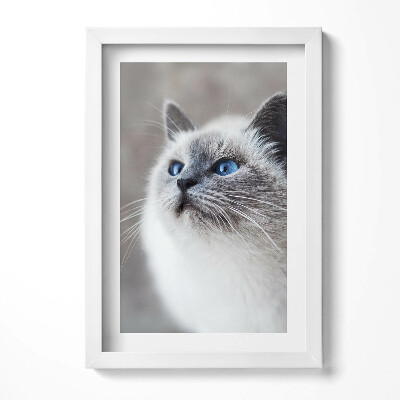 Obraz s rámem elegantní Klidná krajina zimního jezera