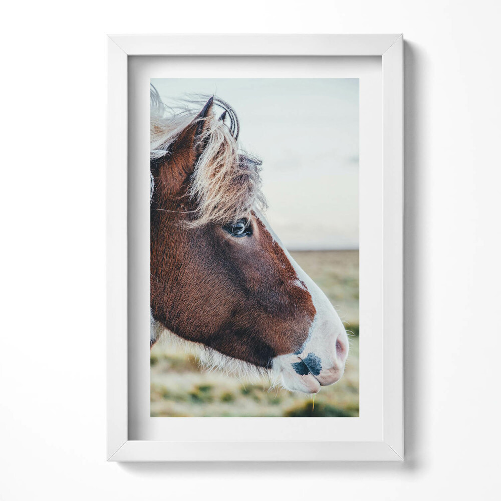 Obraz s rámem elegantní Detail hnědého koně s hřívou