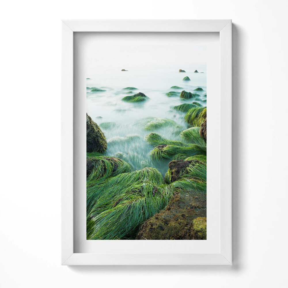 Obraz s rámem elegantní Tráva na břehu řeky