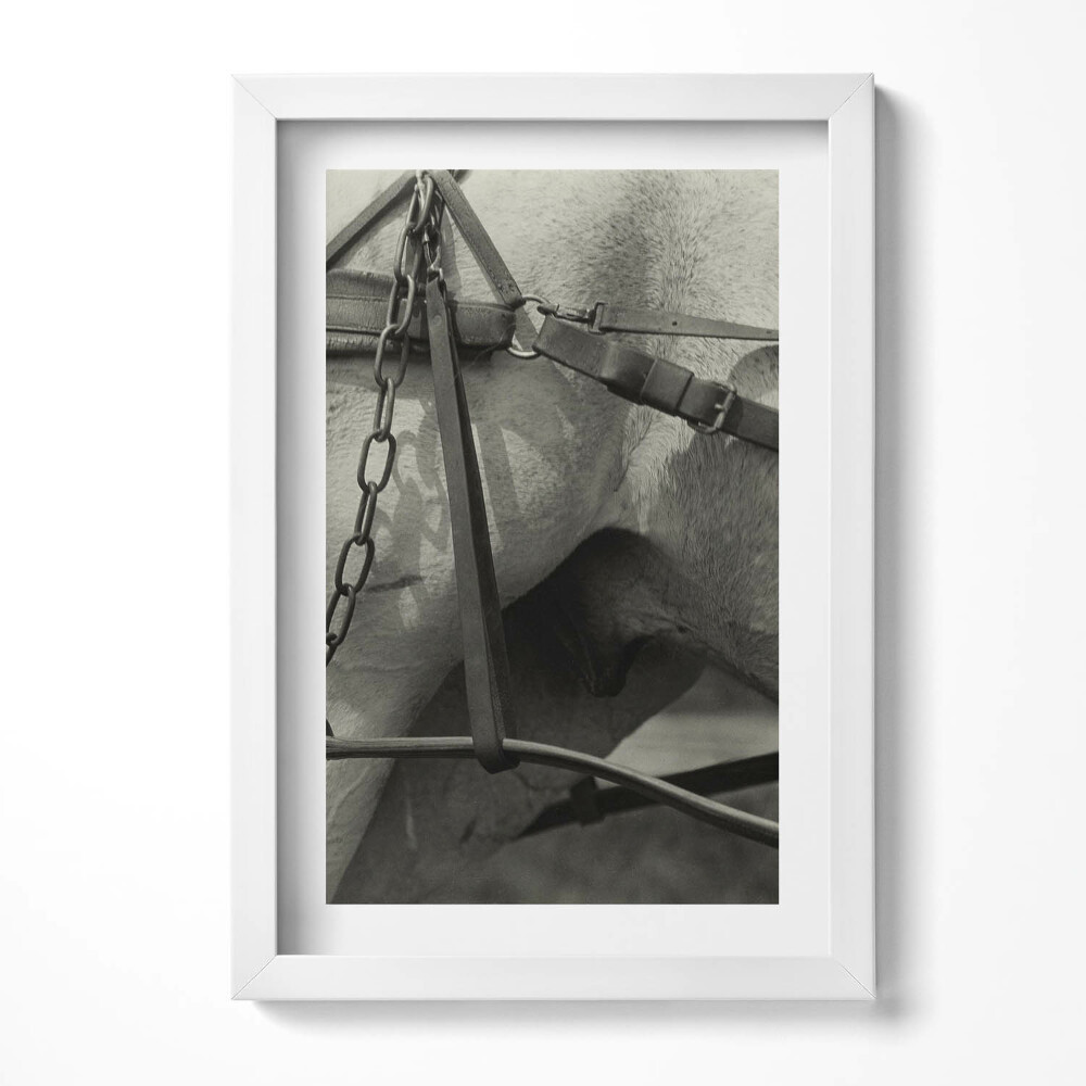 Obraz s rámem elegantní Detailní záběr na koňský postroj