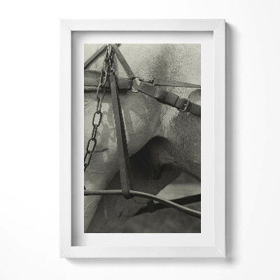 Obraz s rámem elegantní Detailní záběr na koňský postroj