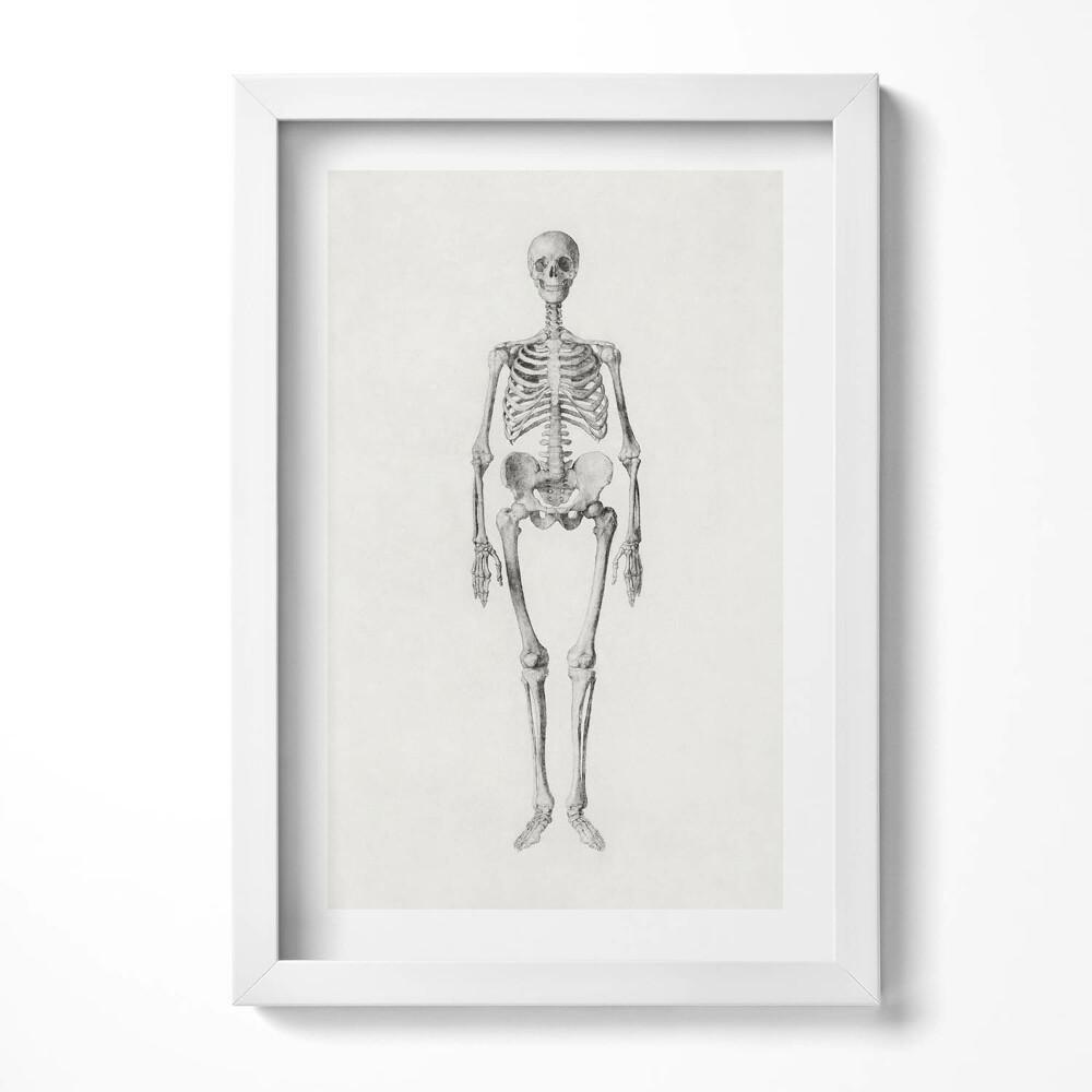 Obraz s rámem elegantní Načrtněte obrázek kostry