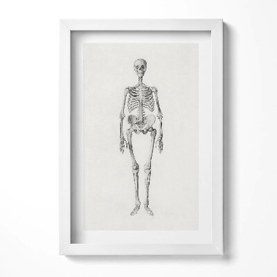 Obraz s rámem elegantní Načrtněte obrázek kostry